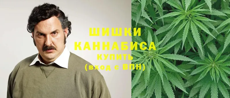 Конопля OG Kush  что такое   Балабаново 